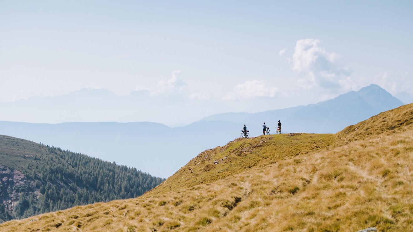 Löffler Gravel Bike Kollektion