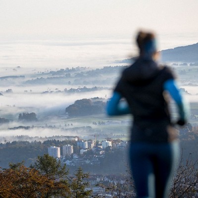 Regionaler Wirtschaftspartner