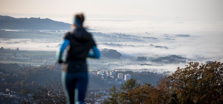 Regionaler Wirtschaftspartner