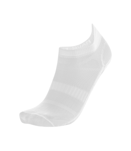 26025100.png